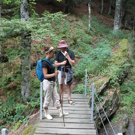 Casa Campo, Entre Jaca Y Anso Biniés