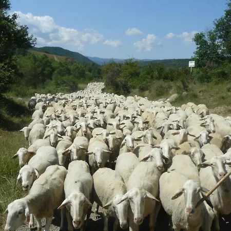 Casa Campo, Entre Jaca Y Anso 3*